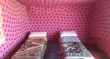 Locals Under Stars Trips