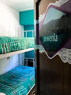 Hostel Punto Patagonico