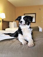 Canmore Inn & Suites