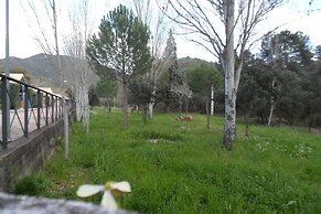 Camping Puente Nuevo