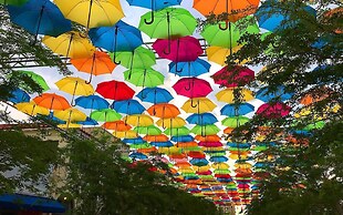 Tropical Charmer Coral Gables Apartment