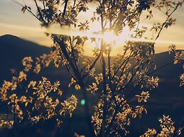 Cathedral Ledge Resort