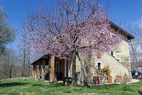 La Rosa Nel Bicchiere