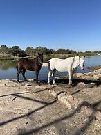 Stephen Margolis Resort