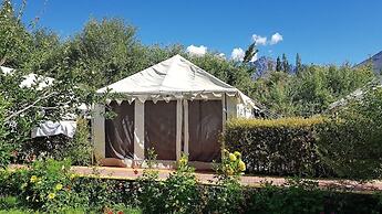 Ladakh Tarrain Camp