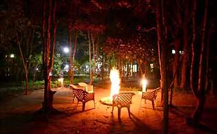 Tigerwoods Kanha Resorts & Spa