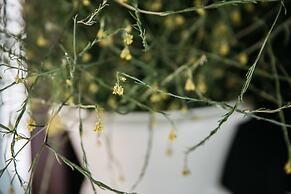 Villa de Donatis Charming Guest House