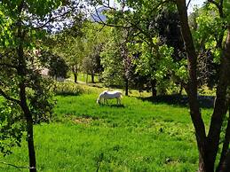 Agriturismo Colloreto