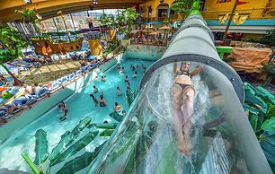 AquaMagis