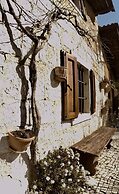 4lander House Balins
