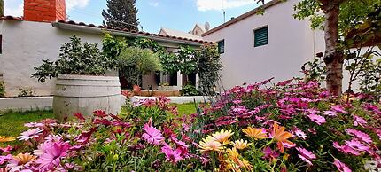 Pansion Ivan & Ivana