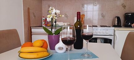 Pansion Ivan & Ivana