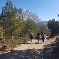 A l'Orée du Pin Chambres d'Hôtes