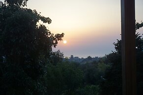 Lemon Factor Sorrento