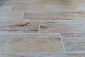 Lemon Factor Sorrento