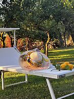 Lemon Factor Sorrento