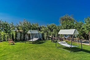 Lemon Factor Sorrento