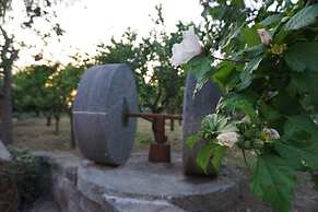 Lemon Factor Sorrento