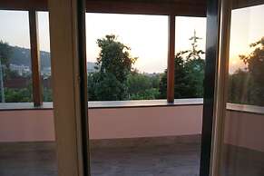 Lemon Factor Sorrento