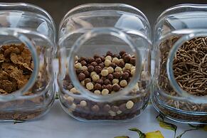 Lemon Factor Sorrento