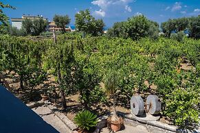 Lemon Factor Sorrento