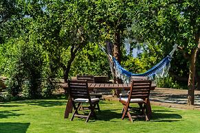 Lemon Factor Sorrento