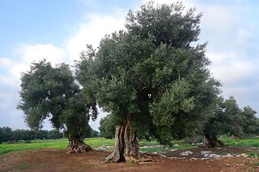 Masseria Capece