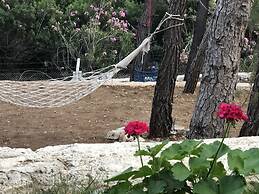 Durusu Ciftlik Evleri