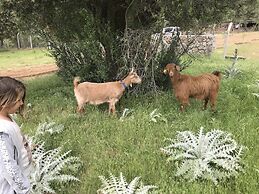 Durusu Ciftlik Evleri