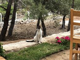 Durusu Ciftlik Evleri