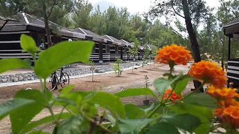 Durusu Ciftlik Evleri