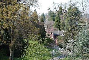 Balance-Hotel am Blauenwald