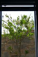 Serifos Houses Aghios Sostis