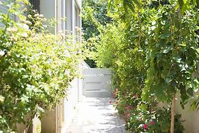 Villa in TLV with a BIG YARD and POOL