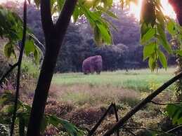 Sunshine Resort & Spa