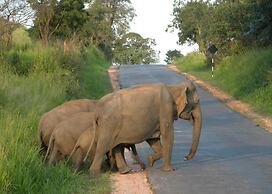 Sunshine Resort & Spa