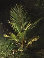 Sunshine Resort & Spa