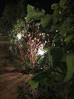 Sunshine Resort & Spa