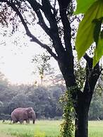 Sunshine Resort & Spa