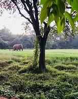 Sunshine Resort & Spa