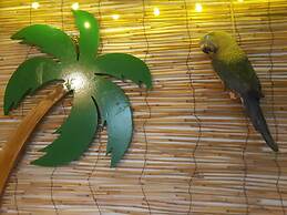 Wonder Rooms Nerja Guest House