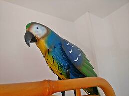 Wonder Rooms Nerja Guest House