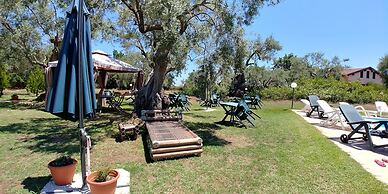 La Piana degli Ulivi