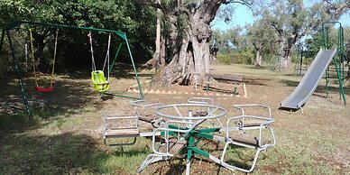 La Piana degli Ulivi