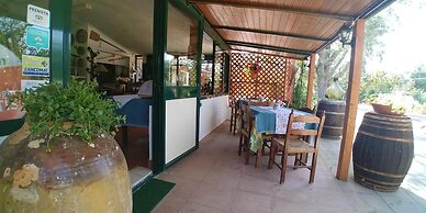 La Piana degli Ulivi