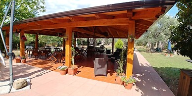 La Piana degli Ulivi