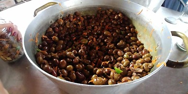 La Piana degli Ulivi