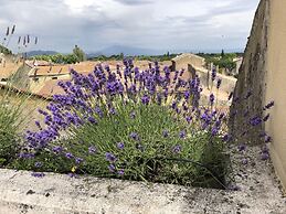 Entre vignes et dentelles