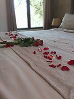 Matusadona Guest Lodge