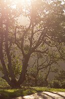 Matusadona Guest Lodge